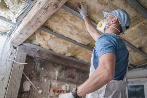 Best Spray Foam Insulation in Moweaqua, IL