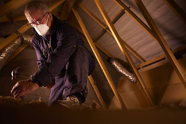 Best Eco-Friendly Insulation in Moweaqua, IL